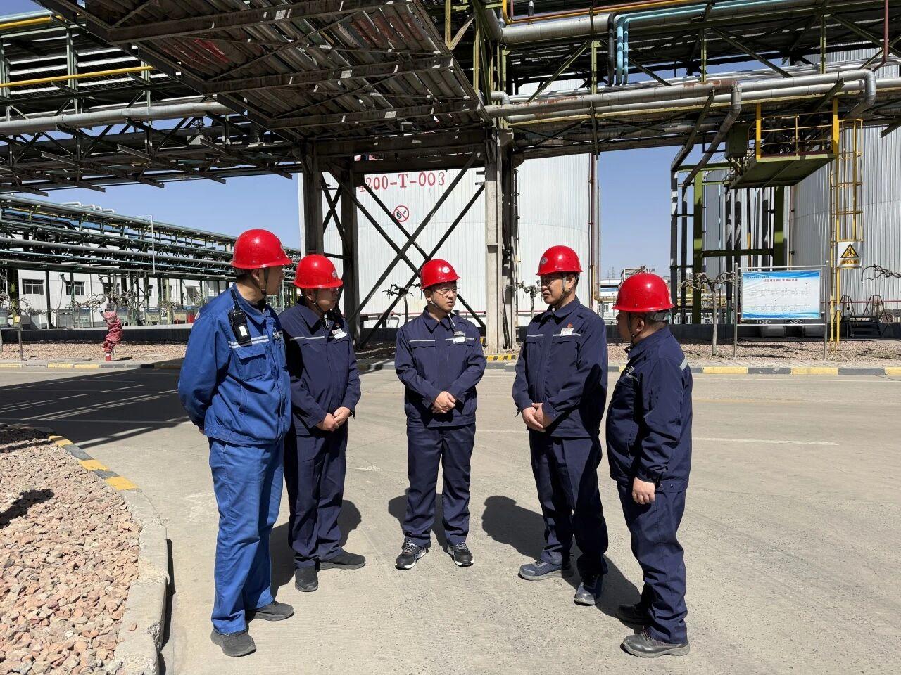 富策略bfball大白菜